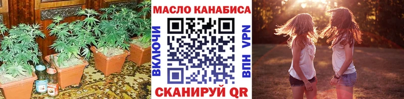 MEGA   где купить наркоту  Циолковский  ТГК концентрат 