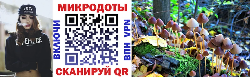 наркотики  Циолковский  Псилоцибиновые грибы мицелий 